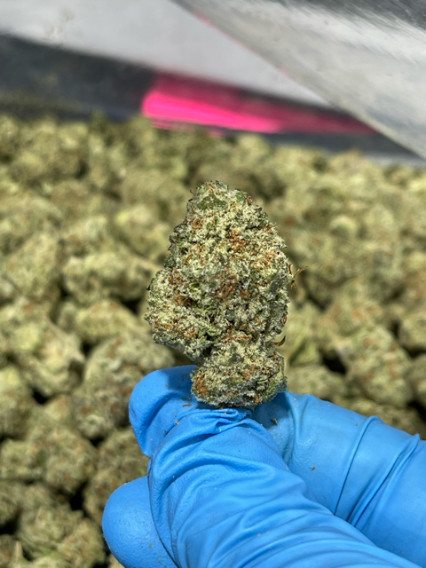 Oreoz – 32.41% THCa (8ths ONLY)