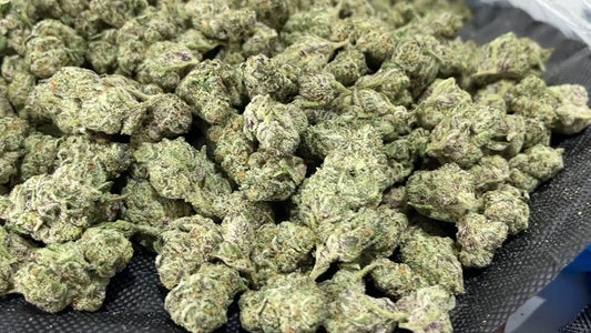 Dirty Girl – 41.09% THCa. (8ths ONLY)