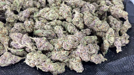 Purple Tesla – 31.59% THCa.  (8ths ONLY)